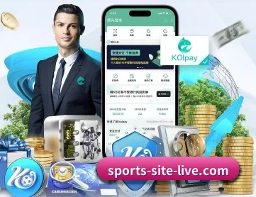 6686 官方入口、APP下载与帮助中心界面