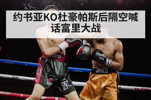约书亚KO杜豪帕斯后隔空喊话富里大战